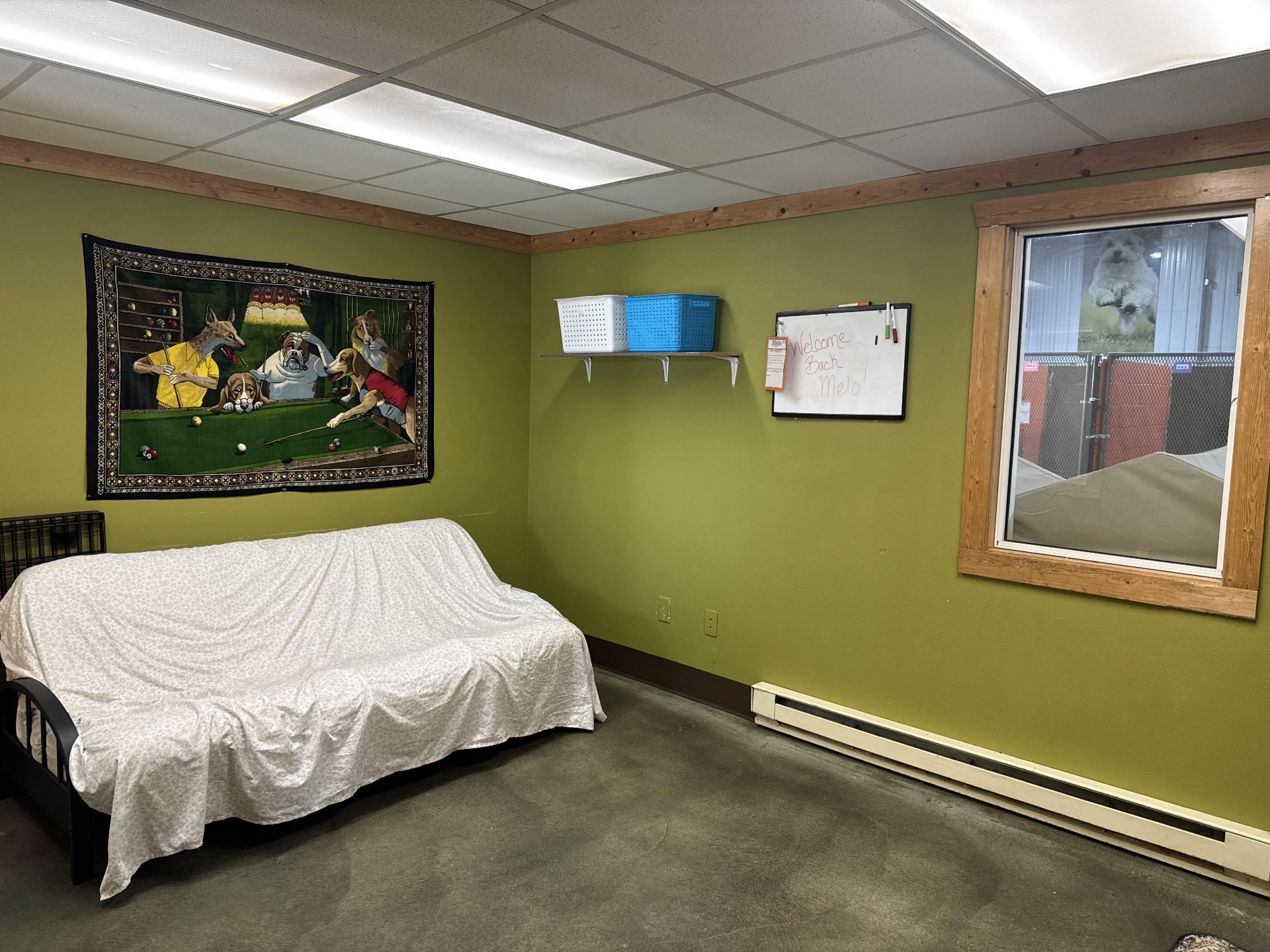 Executive Suite featuring a futon, dog-themed tapestry, and view into the play area