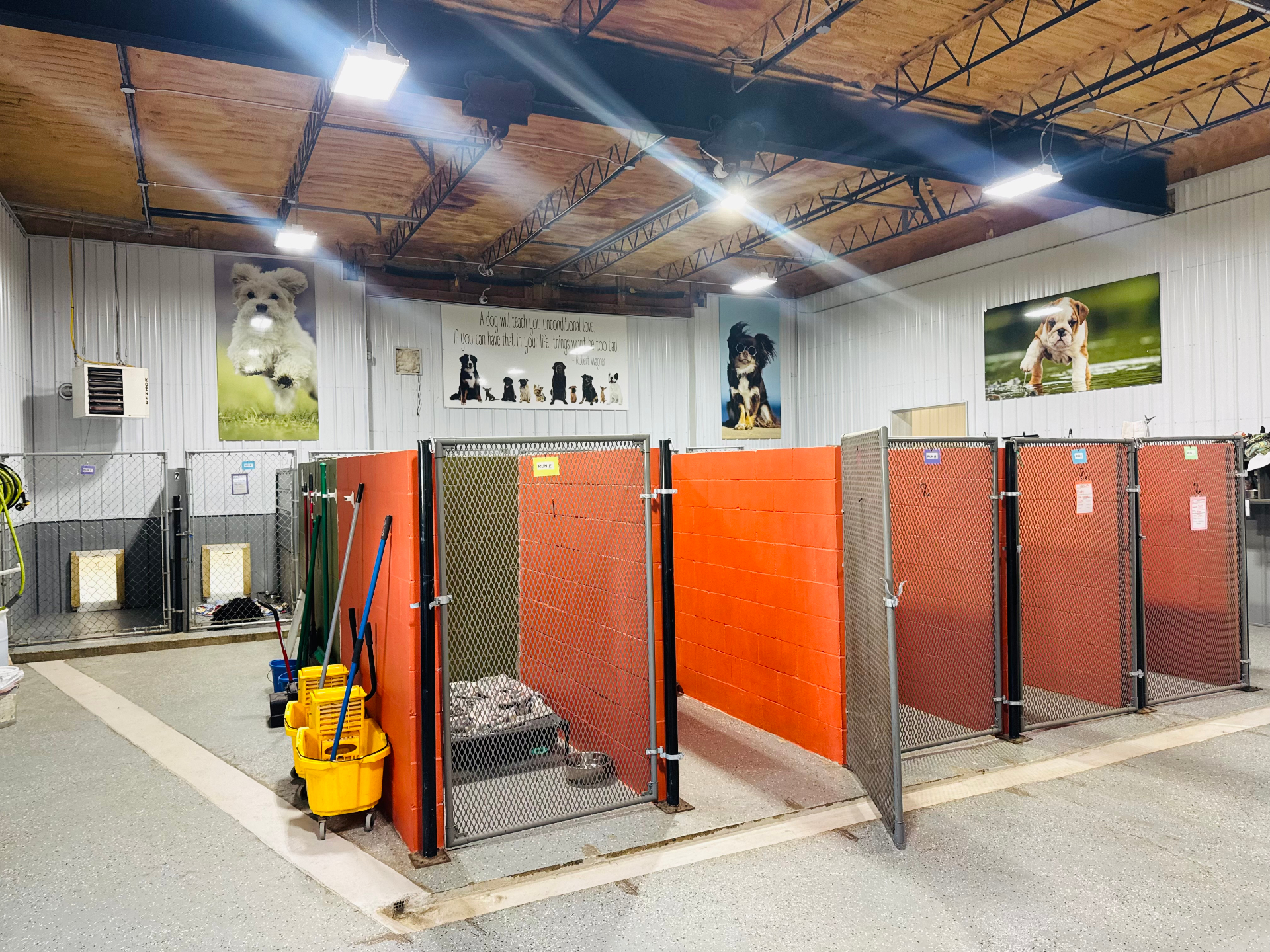 Interior view of the boarding kennel room at Lucky Dog Lodge