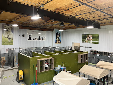 Lucky Dog Lodge boarding suites with cozy raised beds