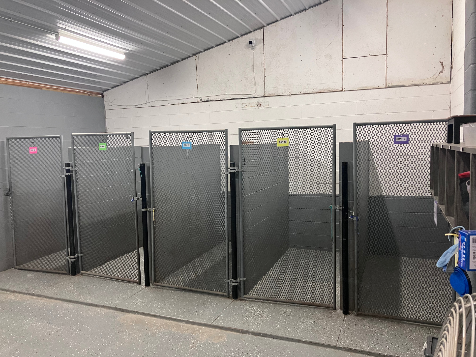 Row of clean indoor boarding runs at Lucky Dog Lodge